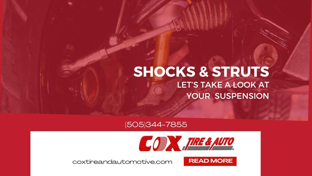 Cox Shocks and Struts Guide