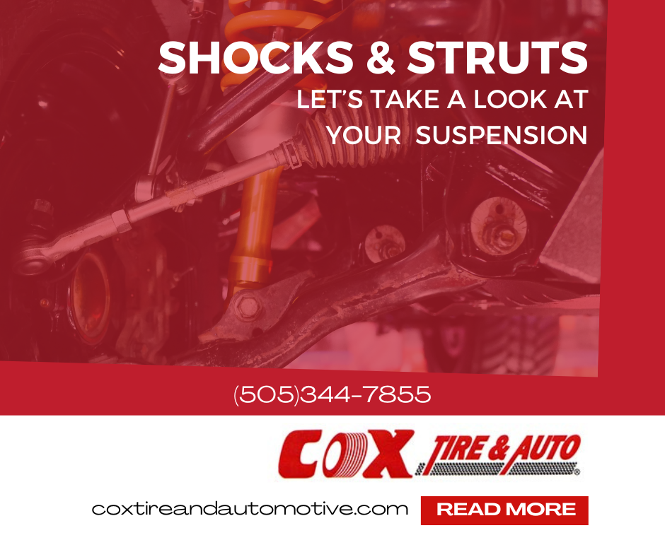 Cox Shocks and Struts